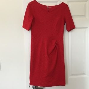 Maggy London Short Sleeve Red Work Dress